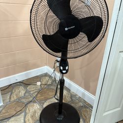 Fan 