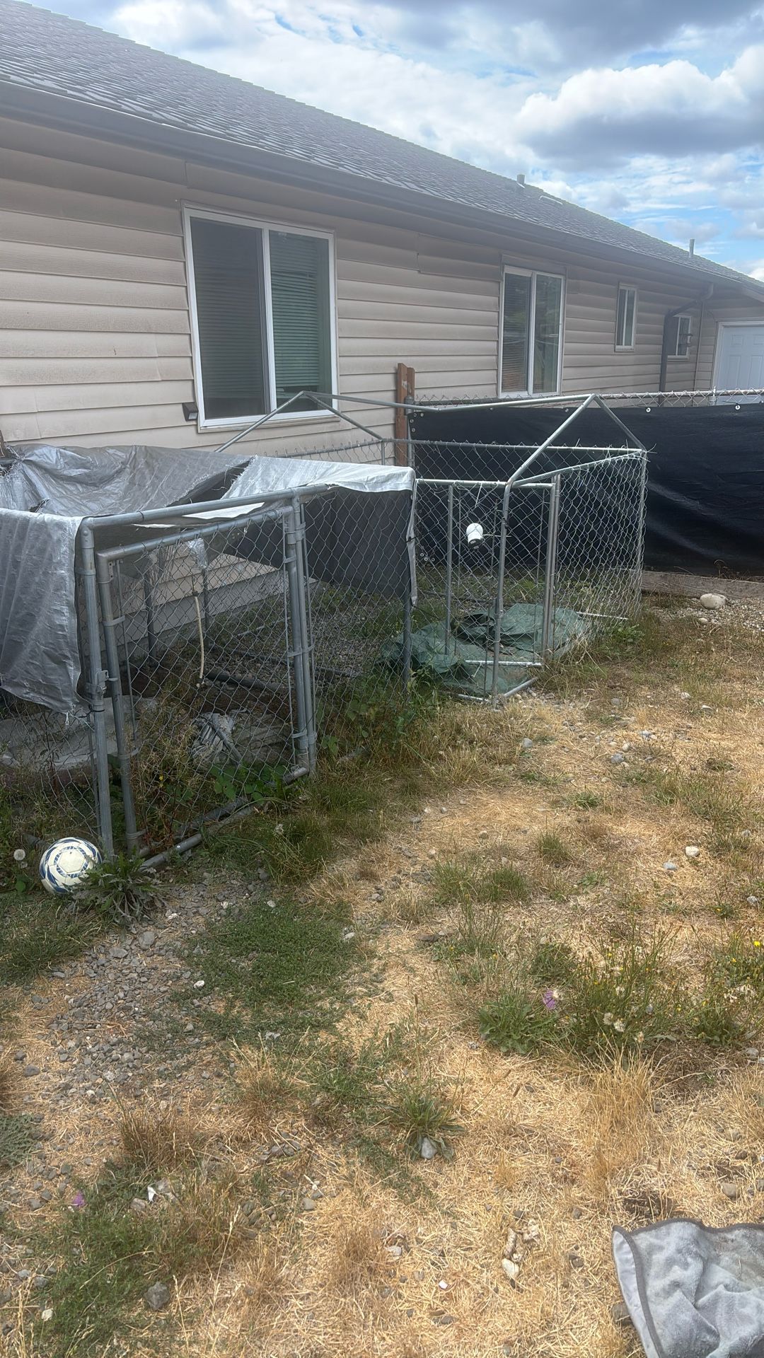 Two 8x8 Dog Kennels