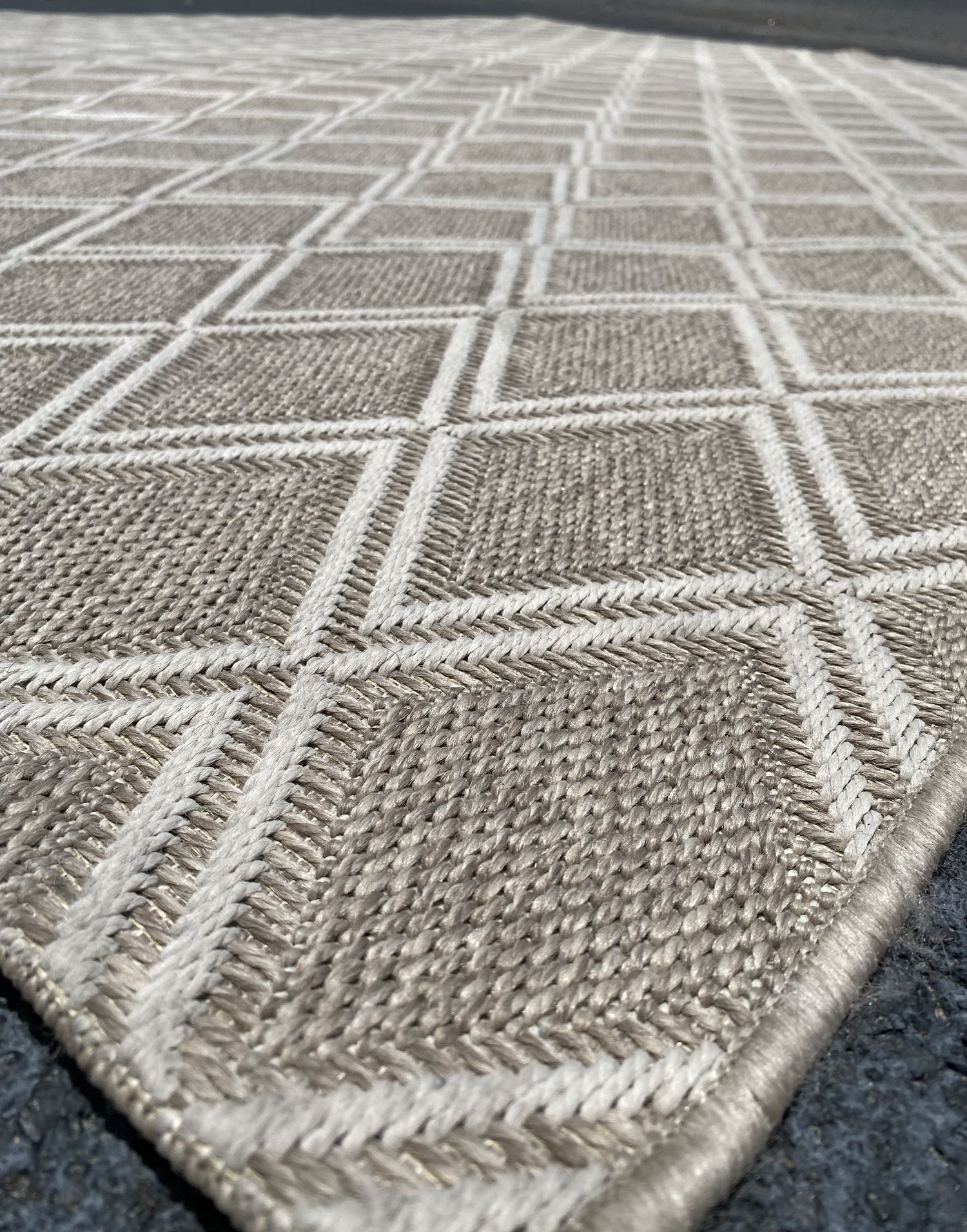 Indoor/ Outdoor Rug