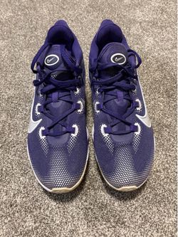 Nike Air Zoom BB NXT New Orchid