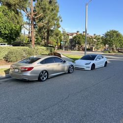 Automotive Windows Tints