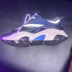dior b22