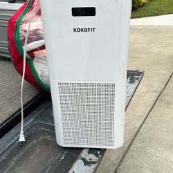 Air Cleaner 