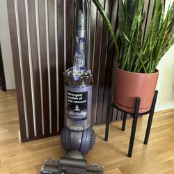 Dyson Ball Animal 2