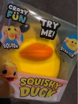 New duck squishy