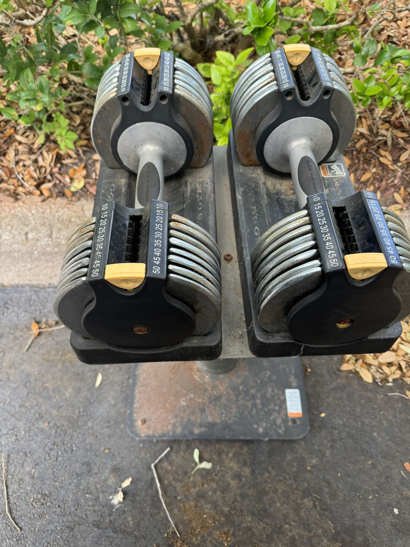 Gold Gym Adjustable Dumbbells With Stand