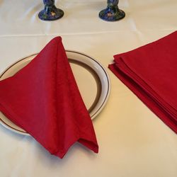 Large Premium Cloth Napkins Set of of 6  (20x20))