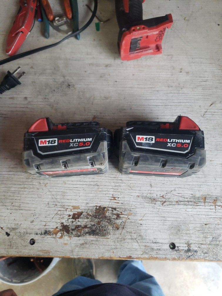 Milwaukee Xc 5.0 Battery & Charger