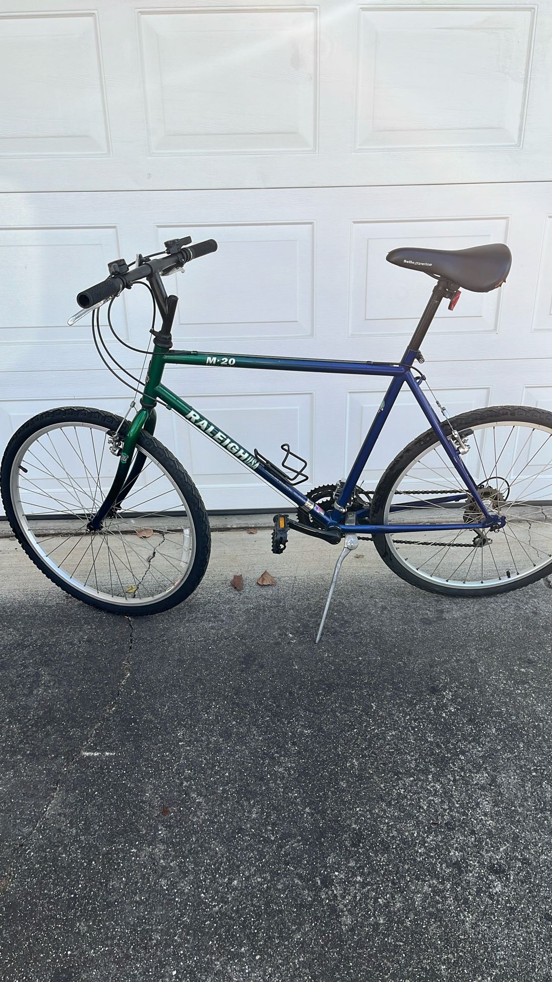 Raleigh M 20 Mountain Bike