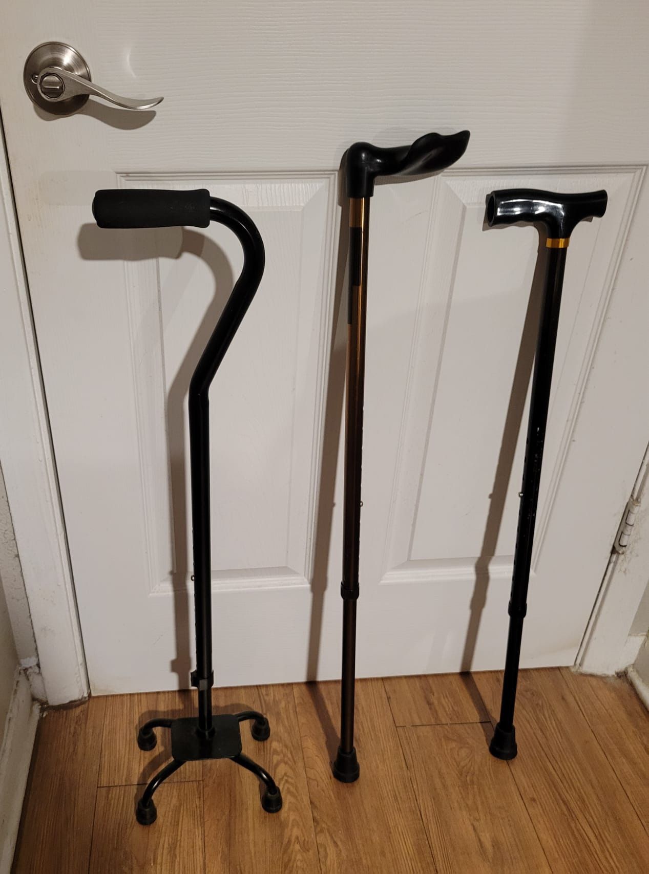 Cane Bastón  $25 Each