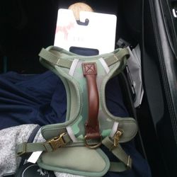 Dog Harness