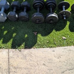 Dumbbells Set