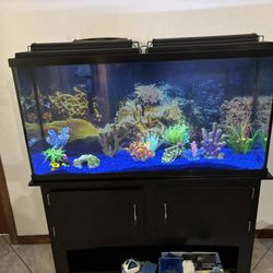 Aquarium 55 Gal. Freshwater glass W/plants, Tools, Lights, Etc.