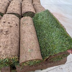 Sod For Sale With Warranty