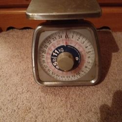 Taylor 25 Pound Scale.