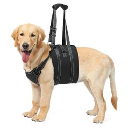 Dog Lift Harness