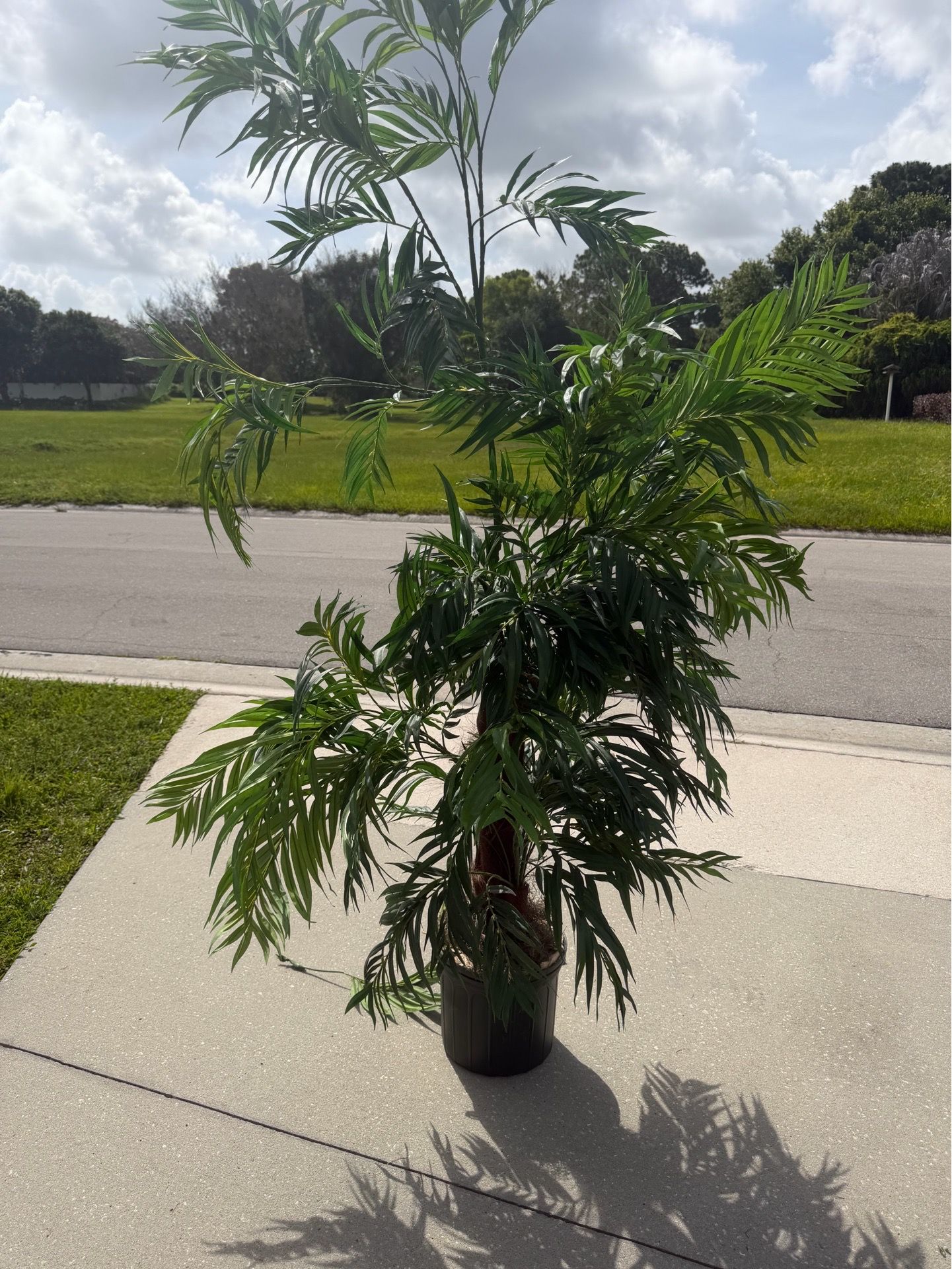 Beautiful artificial palm tree