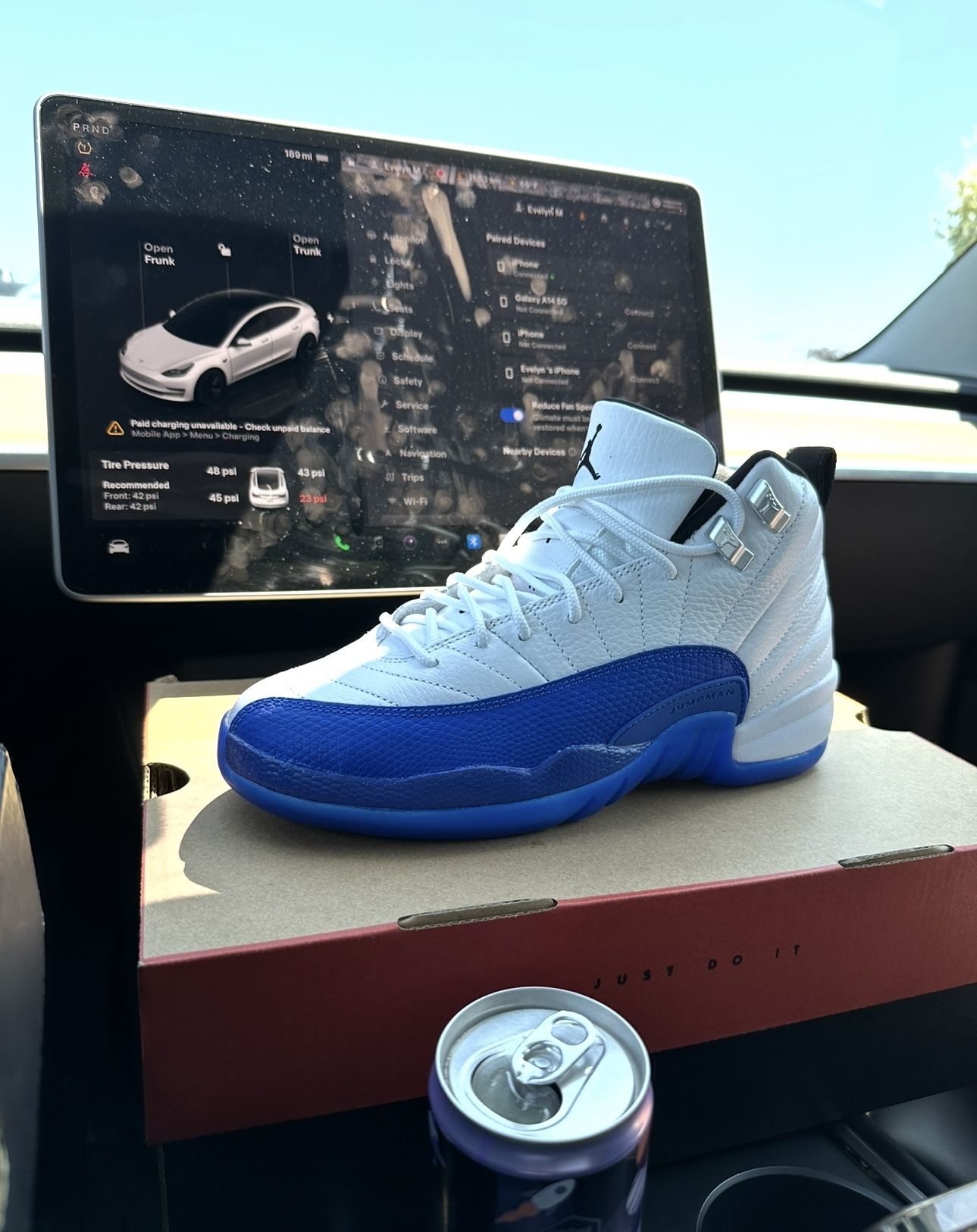Jordan 12 5.5Y (6.5-7 Women’s)