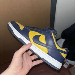 Nike Dunk Low “Michigan”