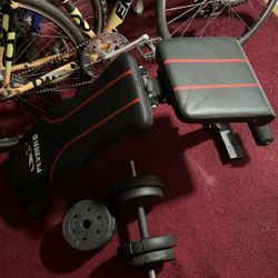 Workout Bench With Dumbbell