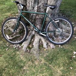 26” Diamondback Mountain Bike 