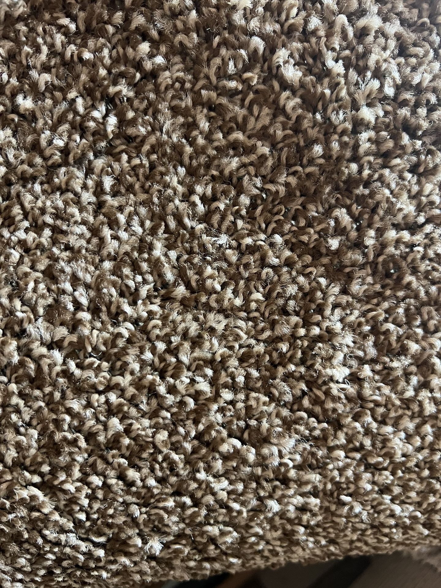 Brown Twist Carpet