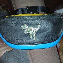 Coach  X Michael Jordan League Belt Bag In Colorblock With Mummfied Rex