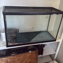 Reptile Tank