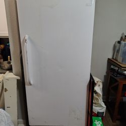 Stand Up Feel Freezer Needs Repair