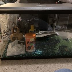 Fish Tank