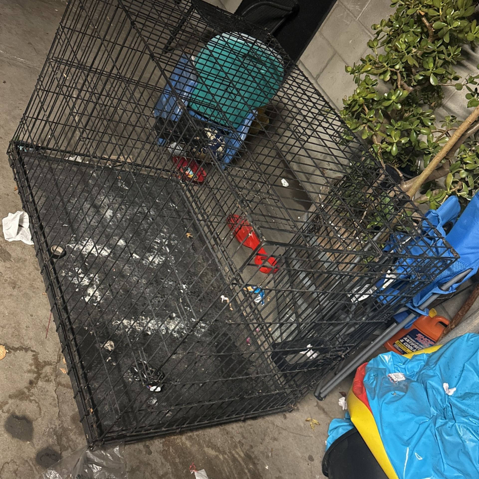 Cage