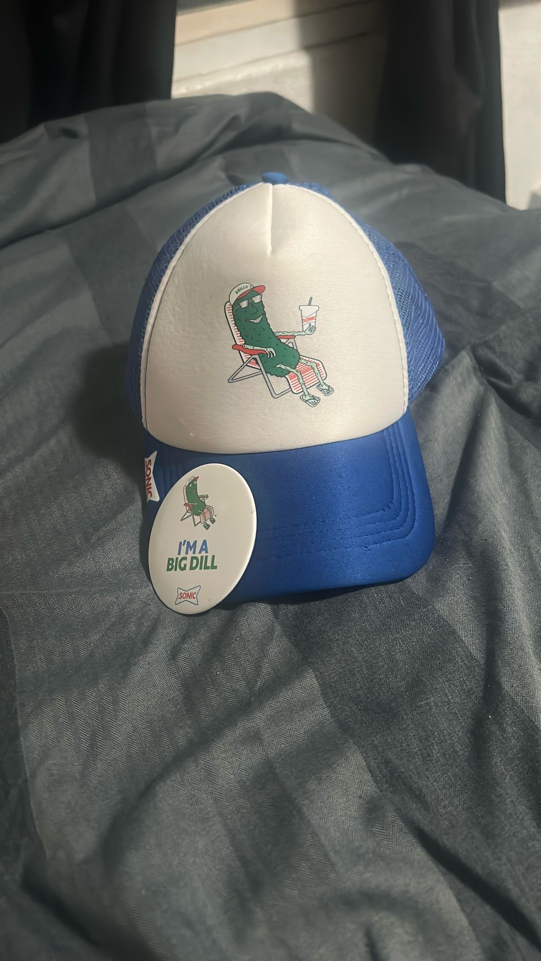 sonic bill dill pickle hat