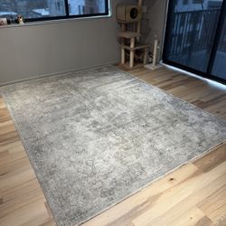 Living Room Area Rug