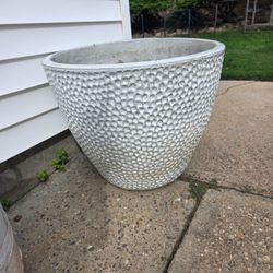 Oversized planter. Inside/outside