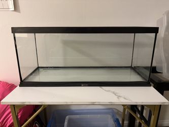 ZooMed 20 gallon (long) aquarium. 30 x 12 x 12 (76x30x30cm) with screen top.