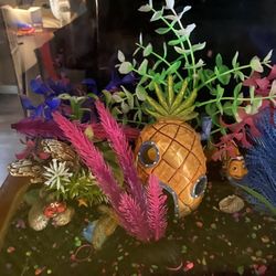 Glow In The Dark Fish Tank 