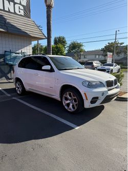 Tint for sale