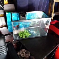 5 Gallon Aquarium