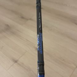 Maverick Series Casting Rod