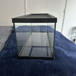 Reptile 20 Gallon Enclosure Zoomed 