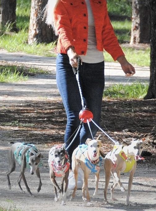 Multi Dog Leash