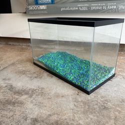 10 Gallon Fish Tank