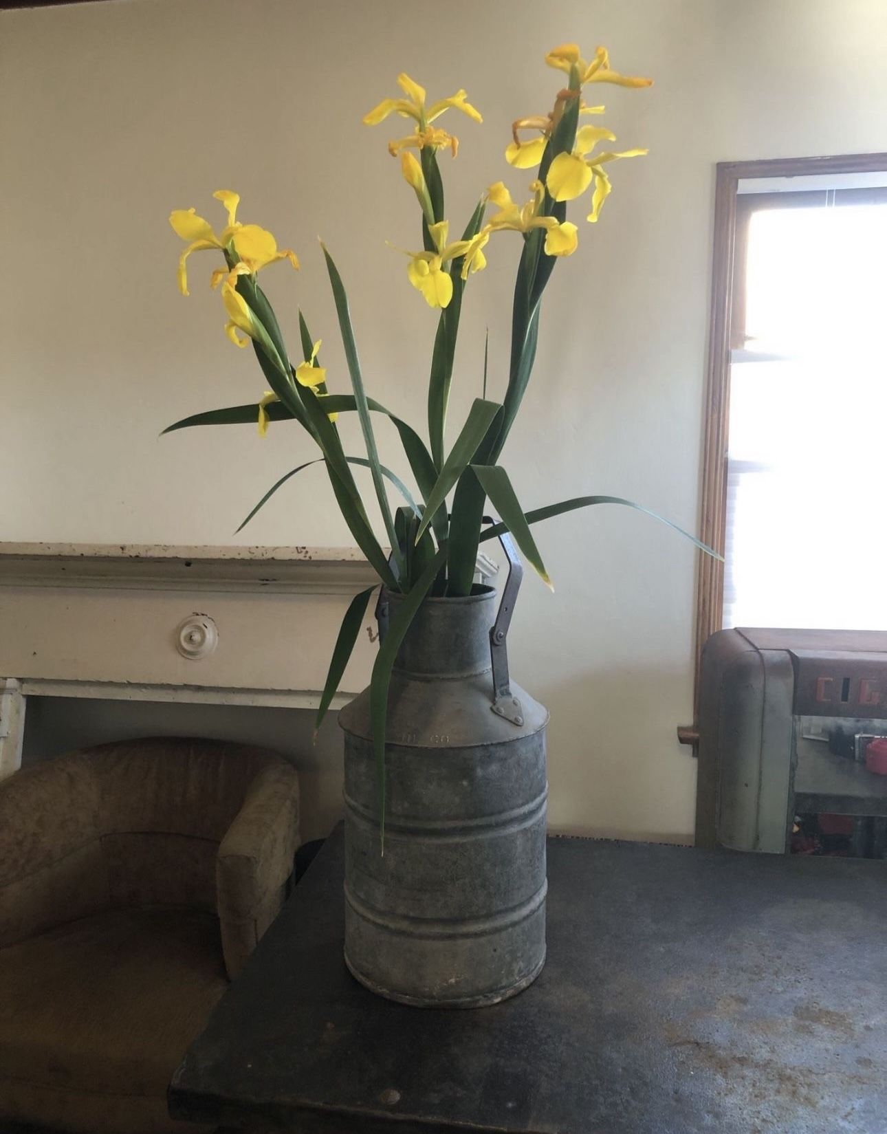 Vintage 5 Gallon Metal Gas/ Oil Can
