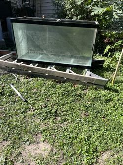 90 Gallon Fish Tank