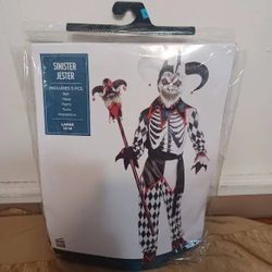 👹☠️💀👻Brand New Boys 8-10 Medium Sinister Court Jester And Zombie  Skeleton Halloween Outfits 👹👹