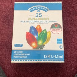 Multicolor LED Lights