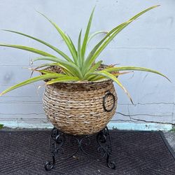 Pineapple And Metal Plant Stand
