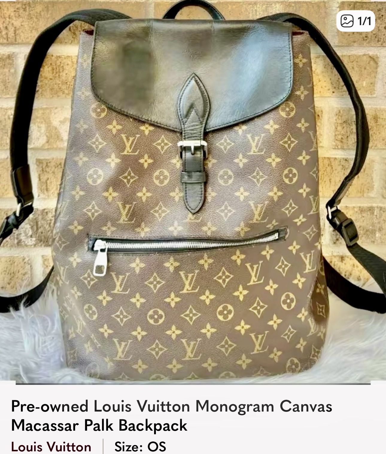 Louis Vuitton Macassar Back Pack