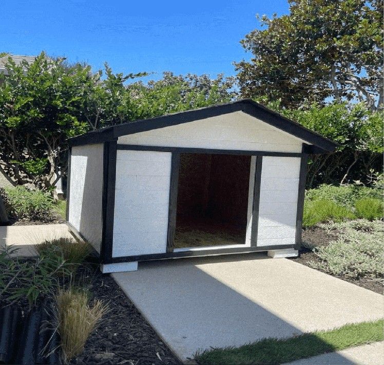 score cold Create the Perfect Dog Home - Fashion and Comfort Joined
