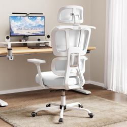 Ergonomic Office Chair Brand NEW IN box